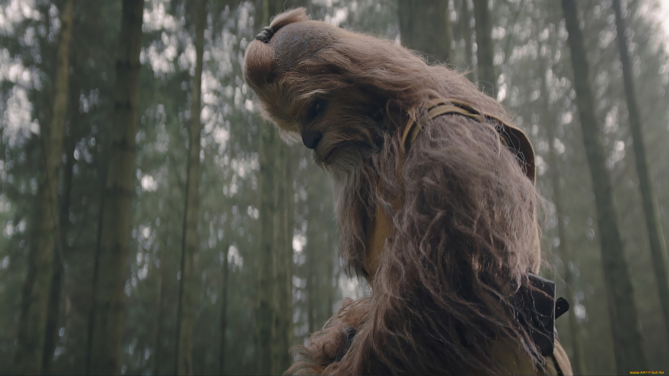 the acolyte ,  2024  ,  , , joonas, suotamo, kelnacca, the, acolyte, e, , , , , , disney